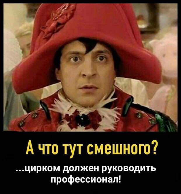 А что тут смешного цирком должен руководить профессионал