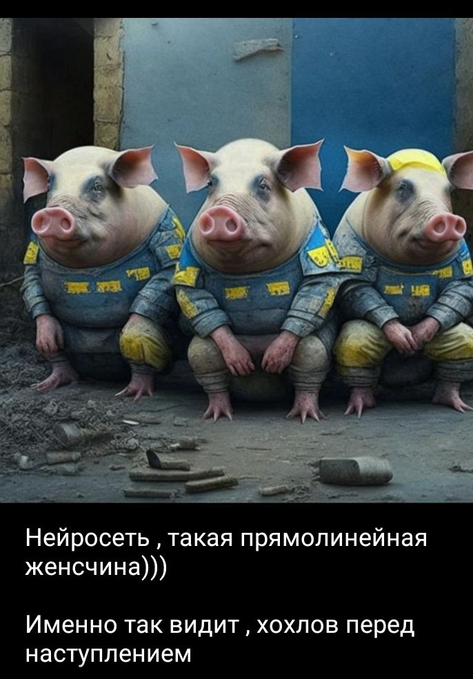 Нейросеть такая прямолинейная женсчина Именно так видит хохлов перед наступлением