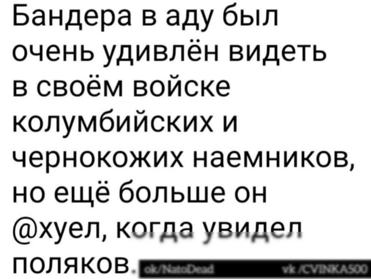 Бандера в аду был очень удивлён видеть в своём войске колумбийских и чернокожих наемников но ещё больше он хуел когда увидел ПОЛЯКОВ