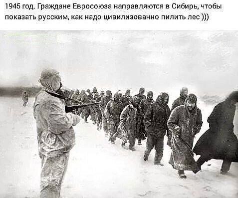 1945 год грамме Евросоюза направляютя в Сибирц чтобы показать русским как надо цивилизованно пилить пес