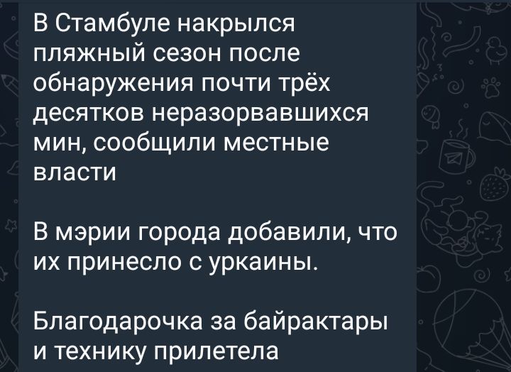 В Стамбуле накрылся пляжный сезон после обнаружения почти трёх десятков неразорвавшихся МИН сообщили местные власти В мэрии города добавили что их принесло уркаины Благодарочка за байрактары И технику прилетела