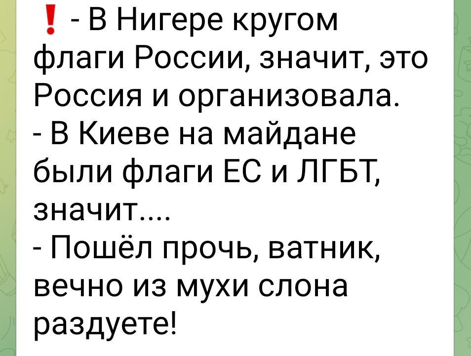 В Нигере кругом флаги России значит это Россия и организовала В Киеве на майдане были флаги ЕС и ЛГБТ значит Пошёл прочь ватник вечно из мухи слона раздуете