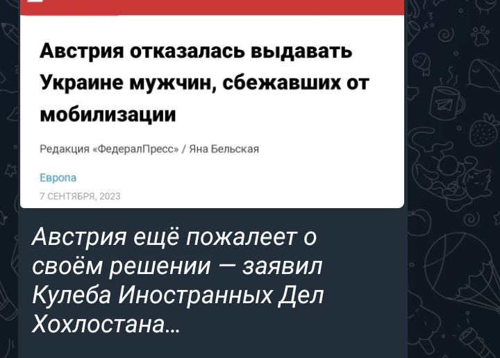 Австрия отказалась выдавать Украиие мужчин сбежавших от мобилизации Австрия ещё пожалеет своём решении заявил Купеба Иностранных Дел Хохловтана