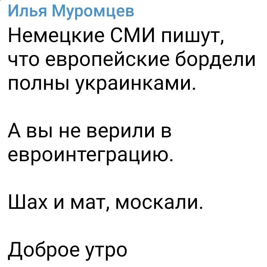 Илья Муромцев Немецкие СМИ пишут что европейские бордели полны украинками А вы не верили в евроинтеграцию Шах и мат москали Доброе утро
