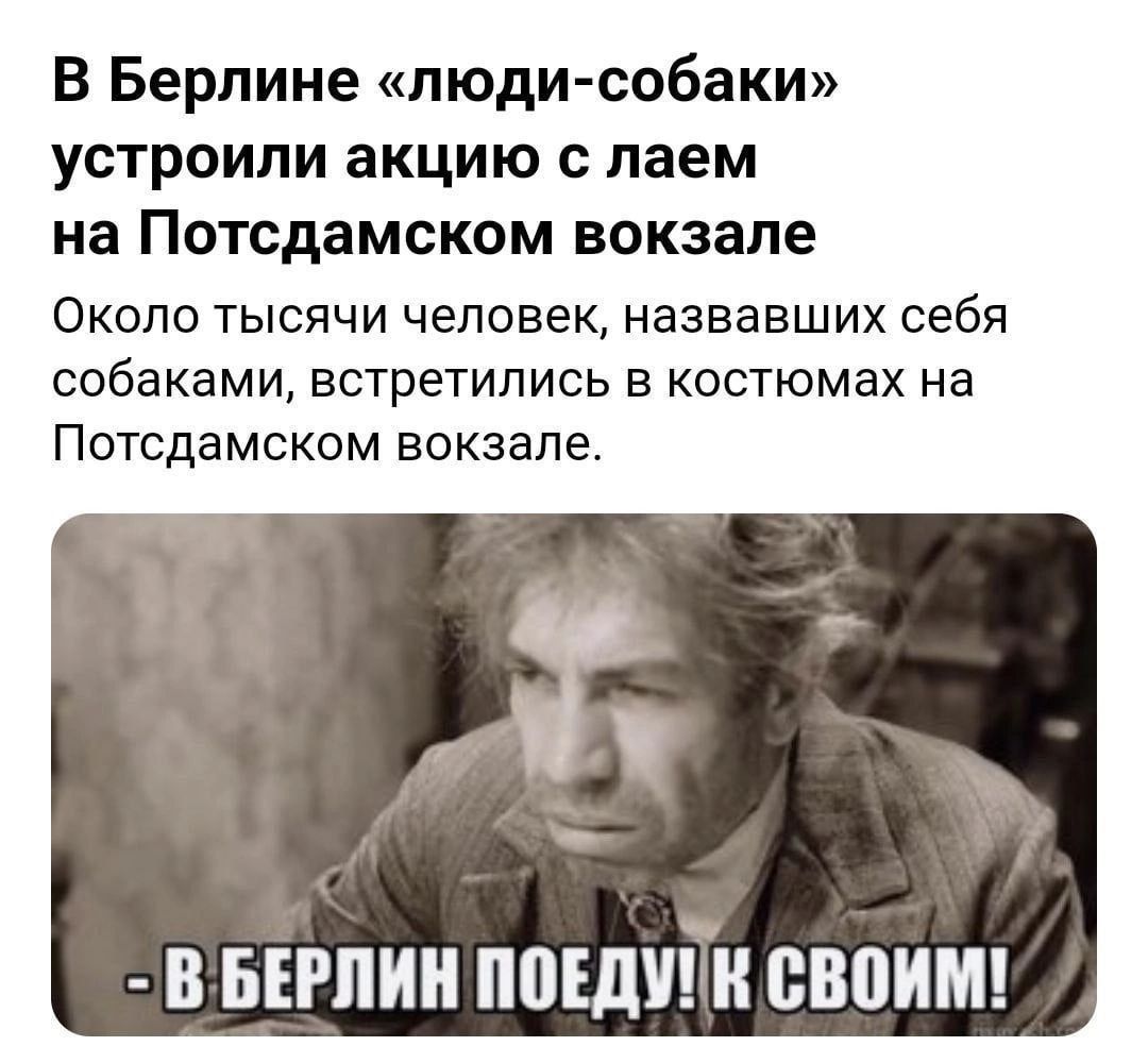 В Берлине люди собаки устроили акцию с лаем на Потсдамском вокзале Около тысячи человек назвавших себя собаками встретились в костюмах на Патсдамском вокзале В БЕРЛИН ППЕДУГН ВВПИМ