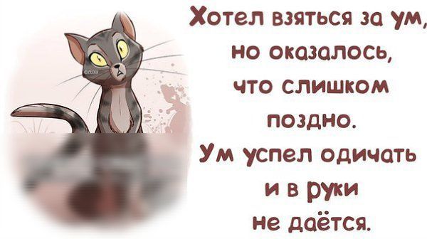 Хотел взяться за ум но оказалось что слишком поздно Ум успел одичать и в руки не даётся