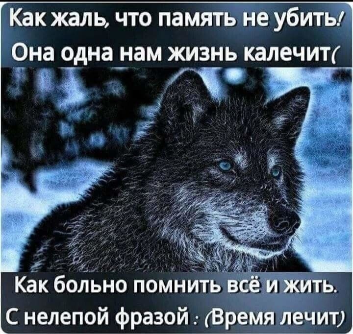 Как жаль что память не убиты Она одна нам жизнь калечип 83 _ ч Как боіпъно помнить ВЁЁЙить С Ёлепой фразой Время лечит