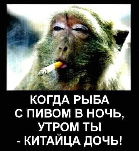 КОГДА РЫБА С ПИВОМ В НОЧЬ УТР_0М ТЫ КИТАИЦА ДОЧЬ