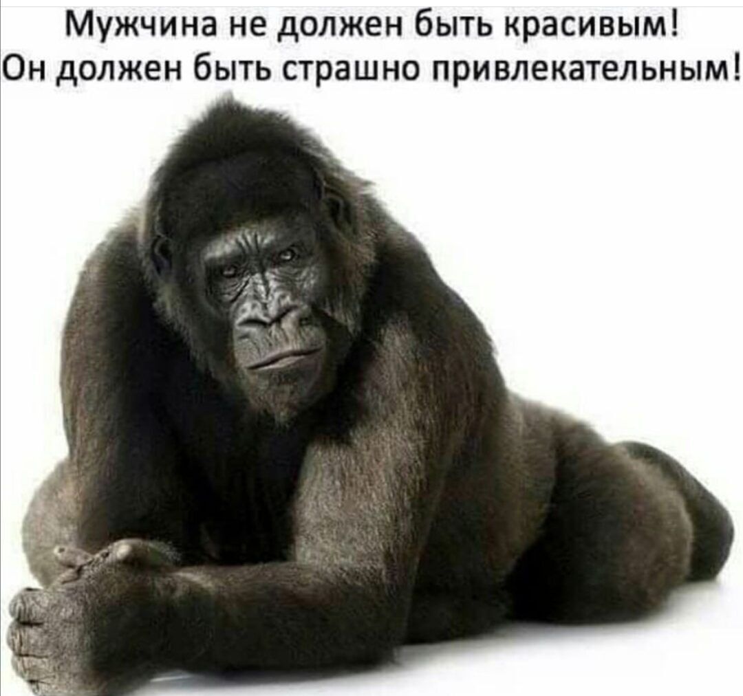 Мужчина не должен быть красивым Он должен быть страшно привлекательным
