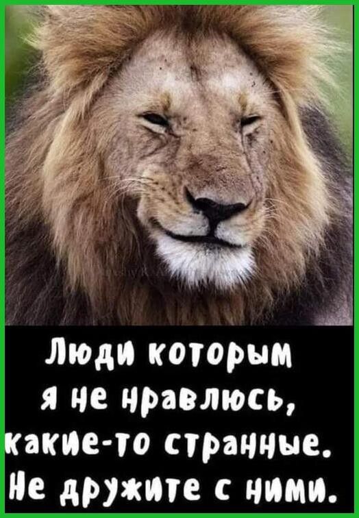 Люди которым я не нравлюсь какие то странные че дружин пищ