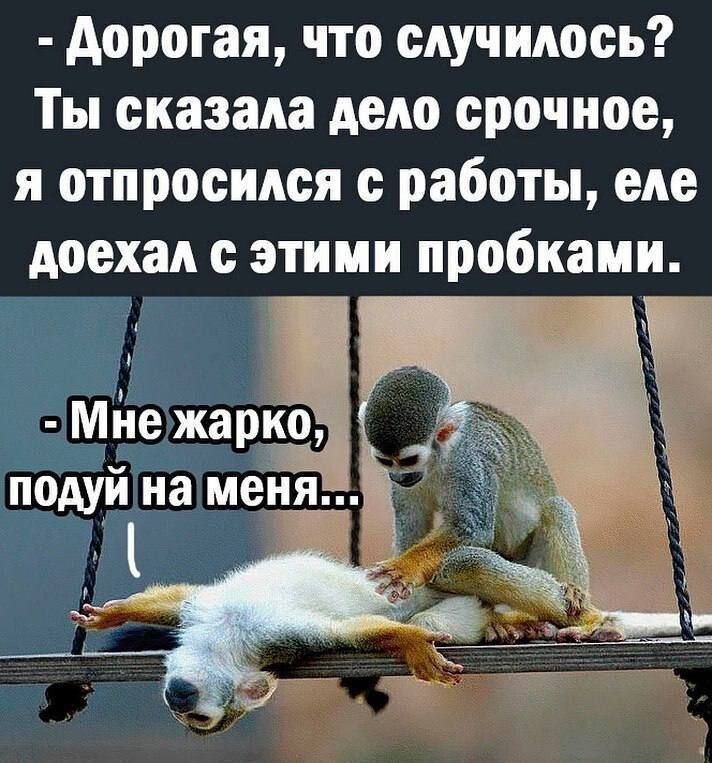 дорогая что случилось Ты сказала дело срочное я отпросидся работы еде доехал этими пробками мйе жарко подуй на меня