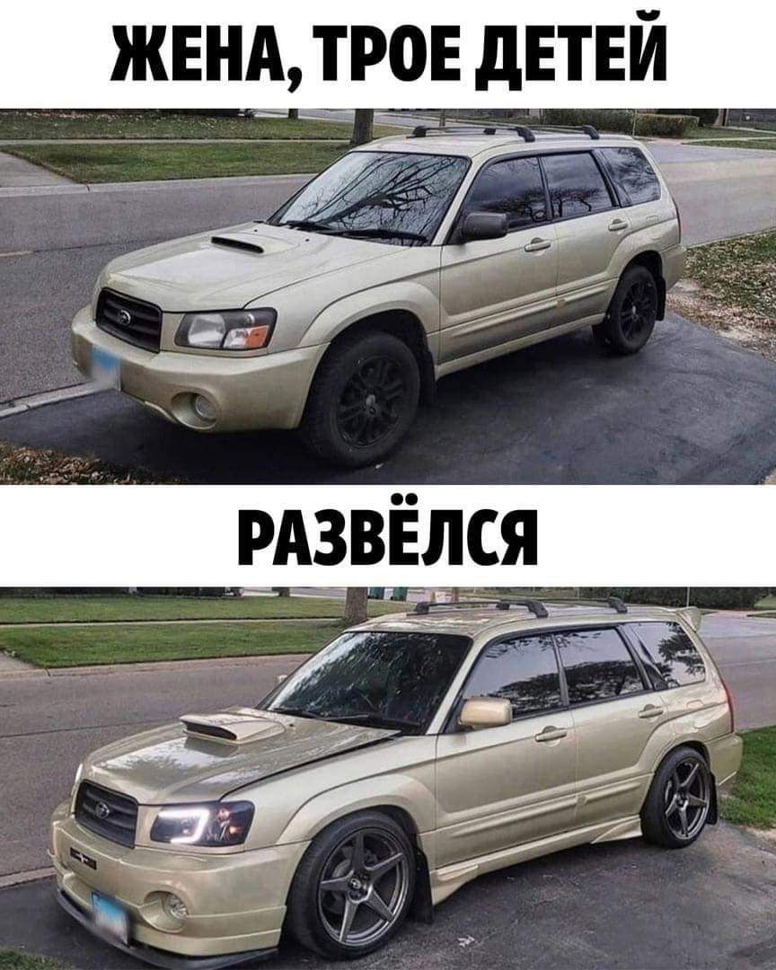 РАтзРЁя _ _ 3397 _ 7 2511 3