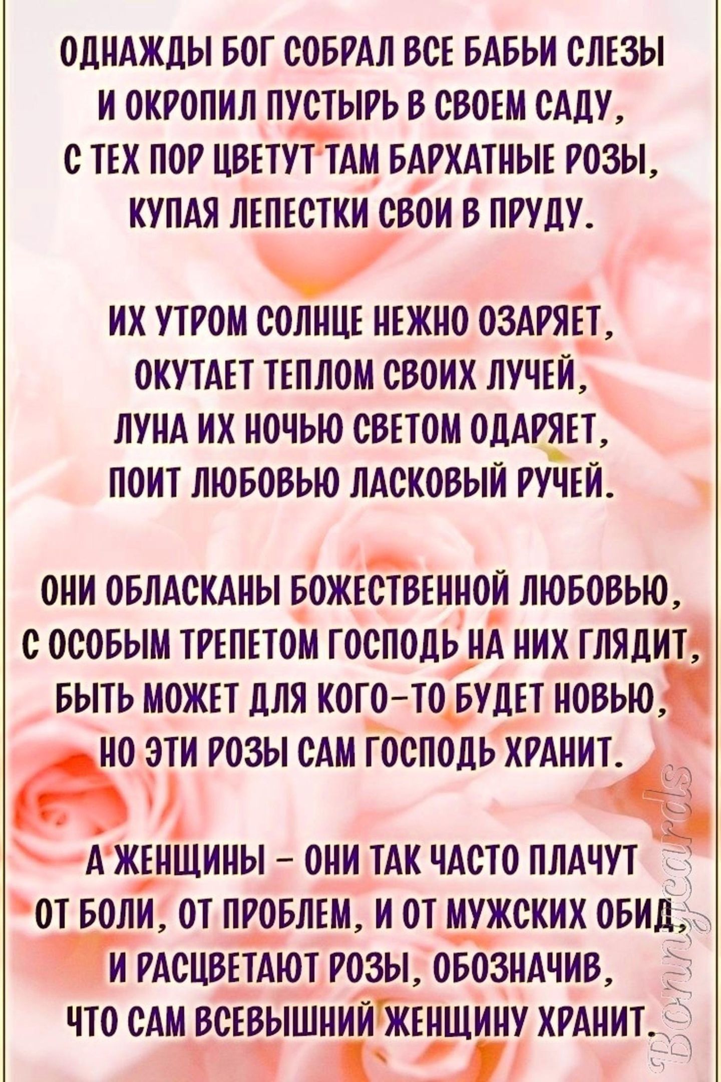 ОДНАЖДЫ БОГ СОБРАЛ ВСЕ БАБЬИ СЛЕЗЫ И ОКРОПИЛ ПУСТЫРЬ Б СВОЕМ САЛУ С ТЕХ ПОР ЦВЕТЙАМ БАРХАТИЫЕ РОЗЫ КУПАЯ ЛЕПЕСТКИ СВОИ В ПРУЦУ ИХ УТРОМ СОЛНЦЕ ИЕЖНО ОЗАРЯЁТ ОКПАЕТ ТЕПЛОМ СВОИХ ЛУЧЕИ ЛУИА ИХ ИОЧЬЮ СВЕТОМ ОЛАРИЕЪ ПОИТ ЛЮБОВЬЮ ЛАСКОВЫИ РУЧЕИ ОИИ ОБЛАСКАНЫ БОЖЕСТВЕИИОИ ЛЮБОВЬЮ С ОСОБЫМ ТРЕПЕТОМ ГОСПОДЬ ИА НИХ ГЛЯДИТ БЫТЬ МОЖЕТ дЛЯ КОГО ТО БУДЕТ ИОБЬЮ но ОБИ РОЗЫ САМ ГОСПОЛЬ ХРАИИТ ААЖДТЩИИЫ ОИИ ТАК Ч