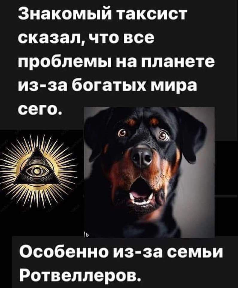 Знакомый таксист сказал что все проблемы на планете из за богатых мира сего Особенно из за семьи Ротвеллеров