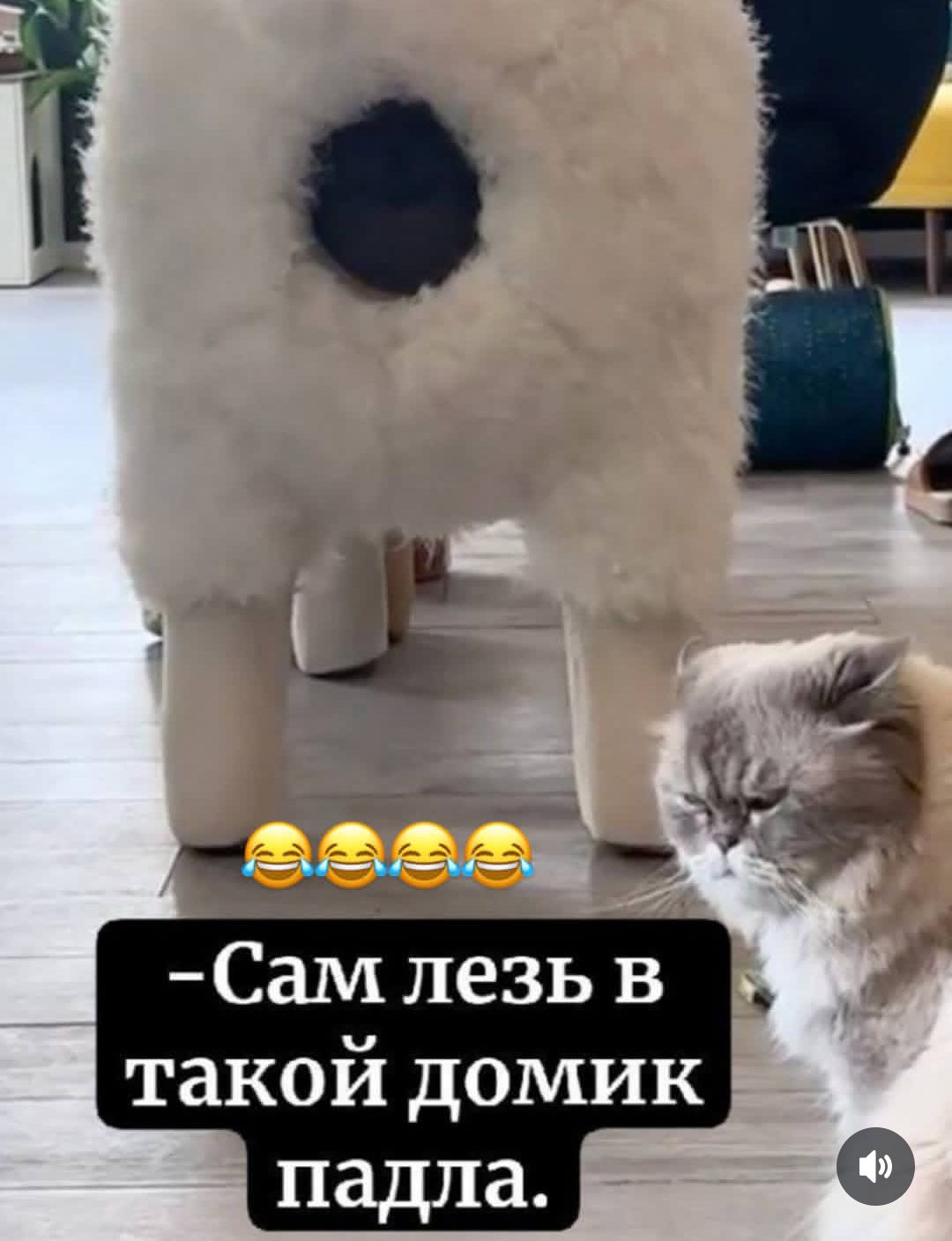 Сам лезь в такой домик падла.