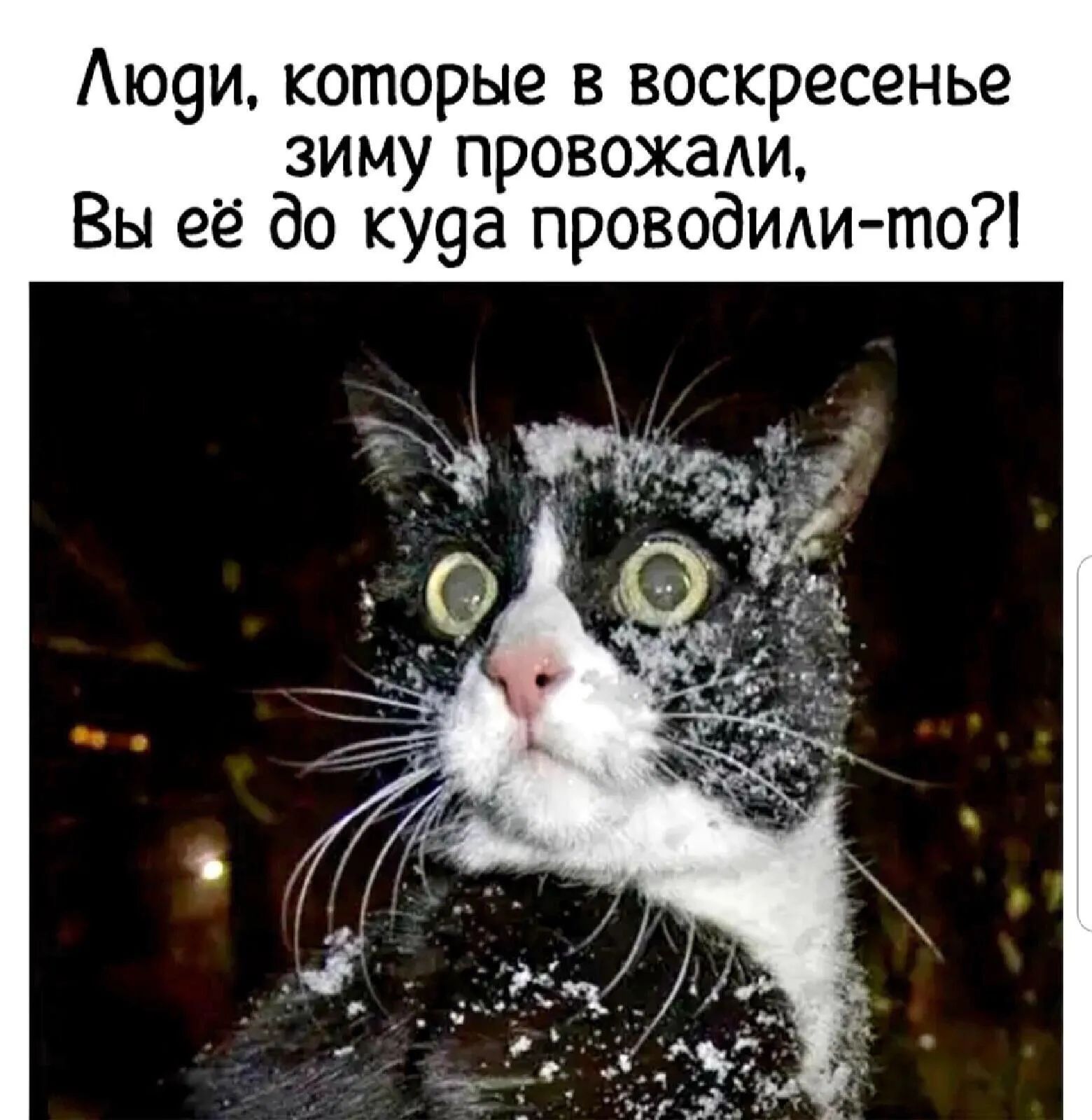 Аю9и которые в воскресенье зиму провожаАи Вы её до ку9а проводили то