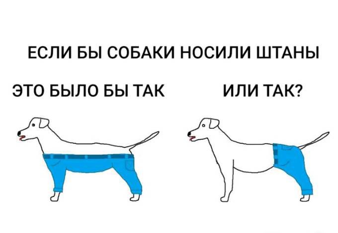 ЕСЛИ БЫ СОБАКИ НОСИЛИ ШТАНЫ ЭТО БЫЛО БЫ ТАК ИЛИ ТАК