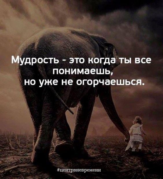 МУДРОСТЬ ЭТО когда ты все ПОНИМЗЕШЬ НО уже не ОГОРЧЗеШЬСЯ Центрвневремени