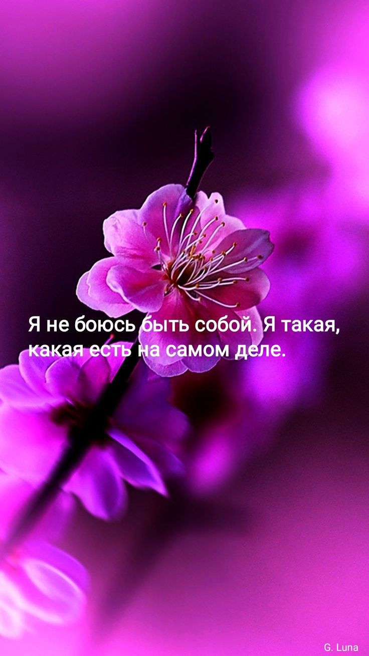 Такая, е.