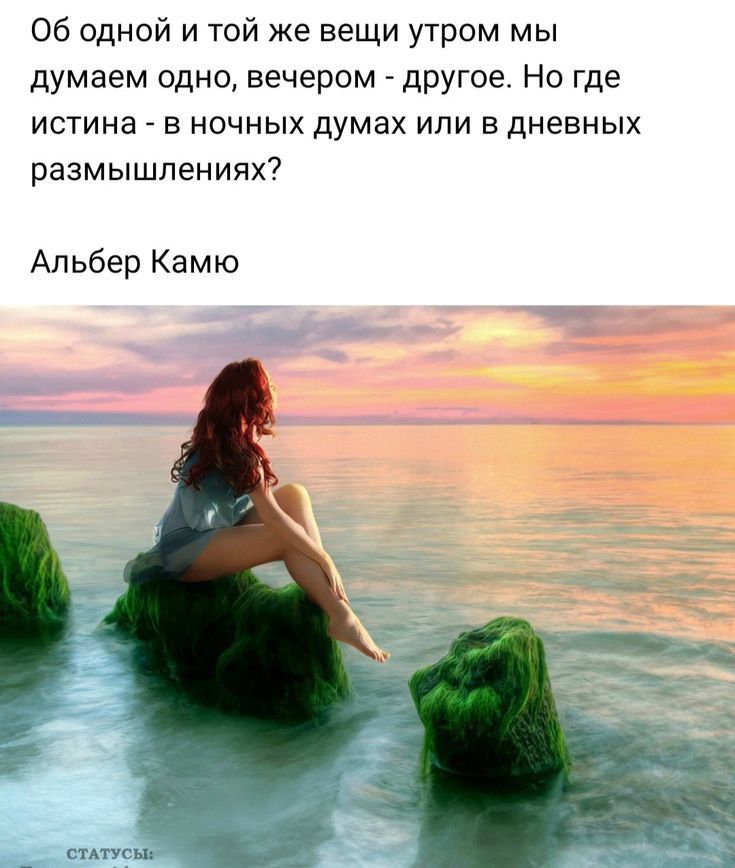 Об одной и той же вещи утром мы думаем одно вечером другое Но где истина в ночных думах или в дневных размышлениях Ал ьбер Кам ю СТАТУС ы