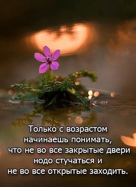 ТолБъЁб с возрасгом начинаешь понимать что не во все закрытые двери нодо сгучаться и не во все открытые заходить
