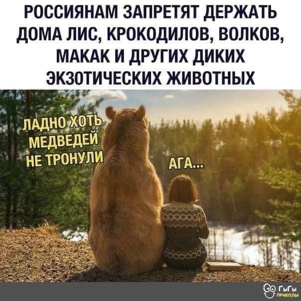 РОССИЯНАМ ЗАПРЕТЯТ ДЕРЖАТЬ ДОМА ЛИС КРОКОДИЛОВ ВОЛКОВ МАКАК И ДРУГИХ ДИКИХ ЭКЁОТИЧЕСКИХ ЖИВОТНЫХ