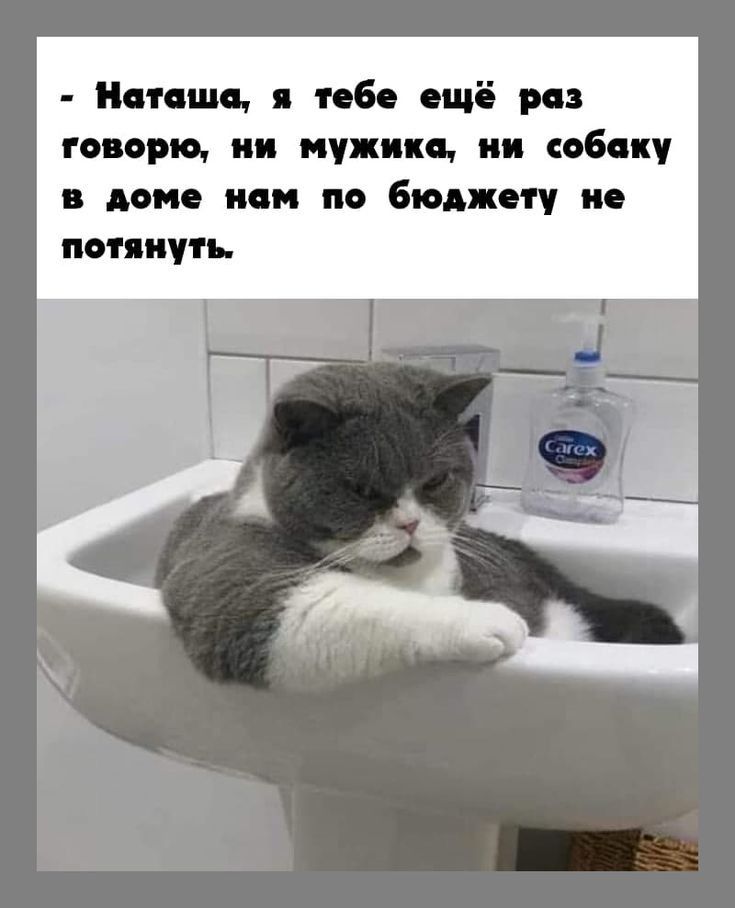 Ницше тебе ещё рез говорю ии мужика ии собаку в дене нем по бюджету не потянуть