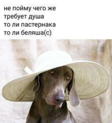 не пойму чего же требует душа то ли пастернака то ли бепяшас