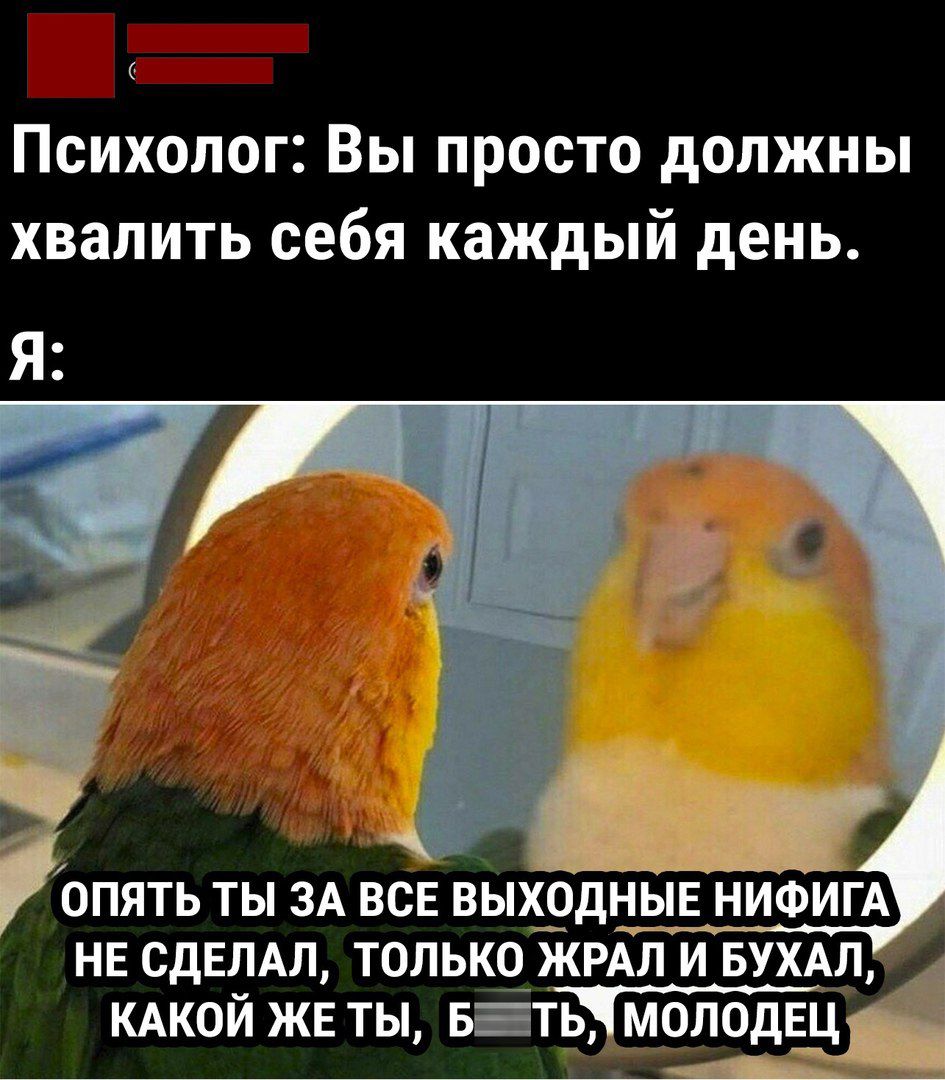 Психолог Вы просто должны хвалить себя каждый день Я ОПЯТЬ ТЫ ЗА ВСЕ ВЫХ__ОДНЫЕ НИФИГА НЕ СДЕЛАЛ ТОЛЬКО ЖРАЛ И БУХАЛ КАКОЙ ЖЕ ТЫ БіТЬ ОЛОДЕЦ