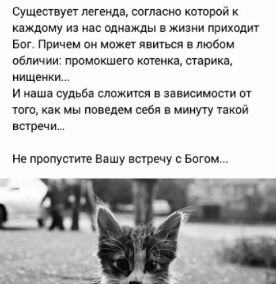 Существует легенда согласно которой к каждому из нас однажды в жизни приходит Бог Причем он может явиться в любом обличии промокшего котенка старика НИЩЕНКИ И наша судьба СЛОЖИТСЯ В зависимости ОТ ТОГО как МЫ поведем себя В минуту такой встречи Не пропустите Вашу встречу с Богом