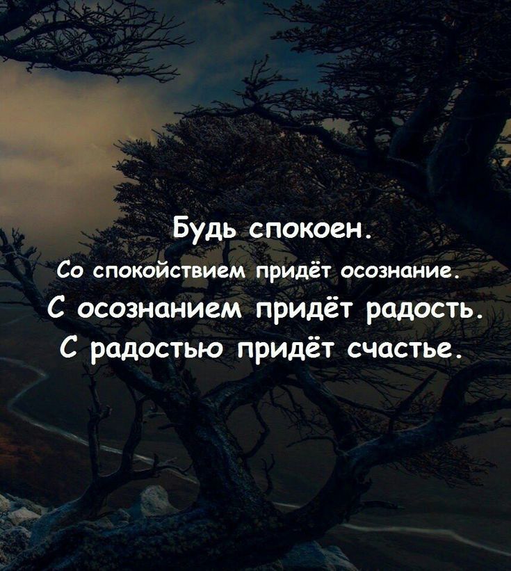 Будь спокоен Со спокойствием придёт осознание С осознанием придёт радость С радостью придёт счастье