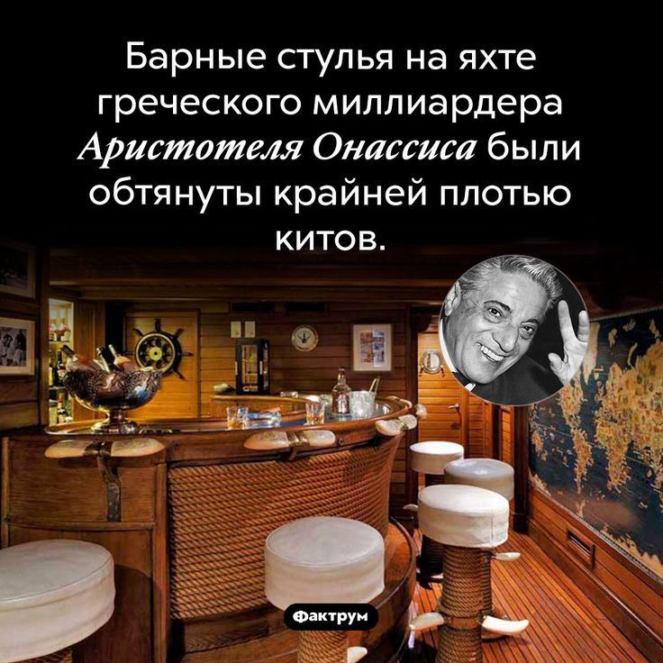 Барные стулья на яхте греческого миллиардера Аристотеля Онассиса были обтянуты крайней плотью КИТОВ