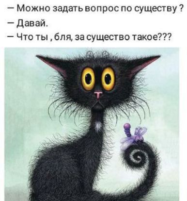 7 Можно задатьвопрос по существу 7 давай Что ты бля за существо такое7