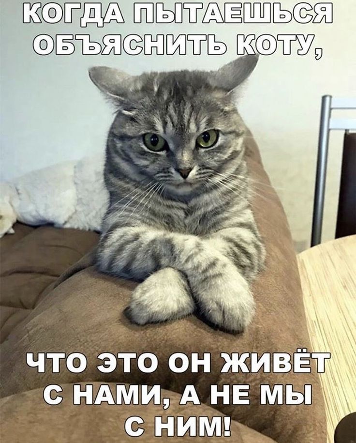 Ш1ЁМШ1ЬПЁЪЁЬЕЖ ЁЪЕЖЁЁЁШЁЬ КТШЁ79
