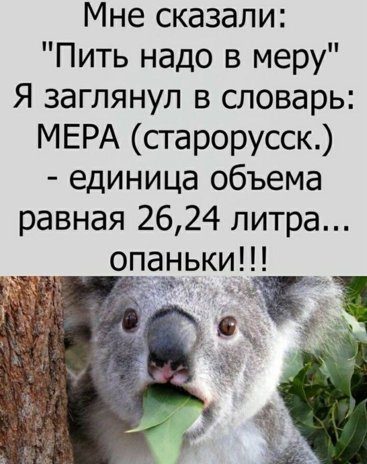 Мне сказали Пить надо в меру Я заглянул в словарь МЕРА старорусск единица объема равная 26 24 литра опаньки