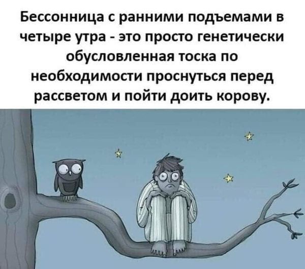 Бессонница с ранними подъемами в четыре утра это просто генетически обусловленная тоска по необходимости проснуться перед рассветом и пойти доить корову