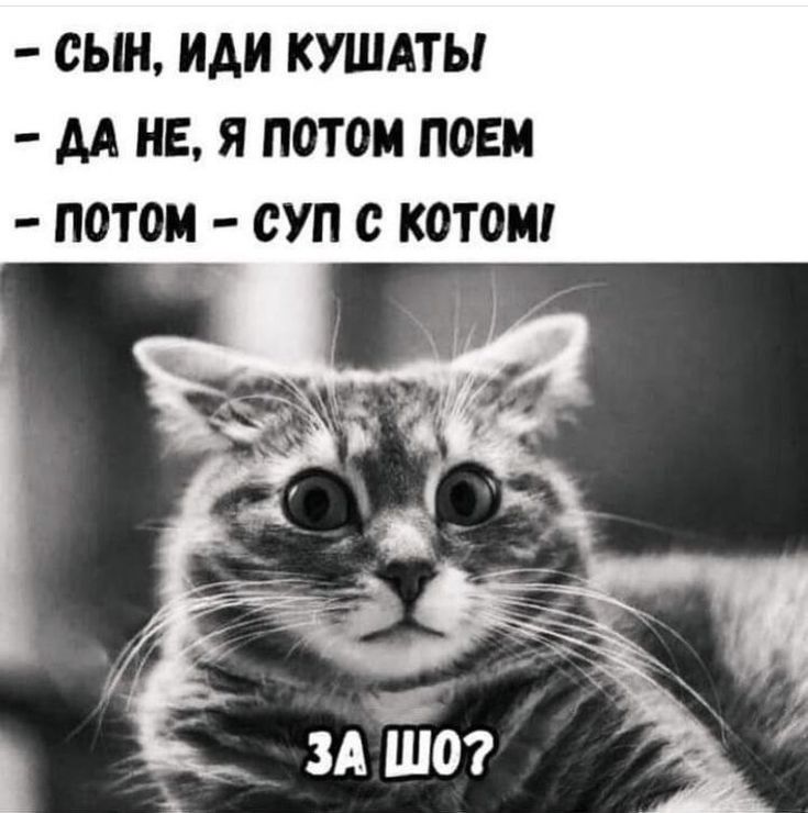 СЫН ИАИ КУШАТЫ АА НЕ Я ПОТОМ ПОЕМ П0Т0М СУП С КОТОМ