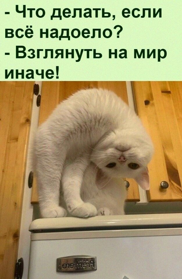 Что делать если всё надоело Взглянуть на мир __иначе _