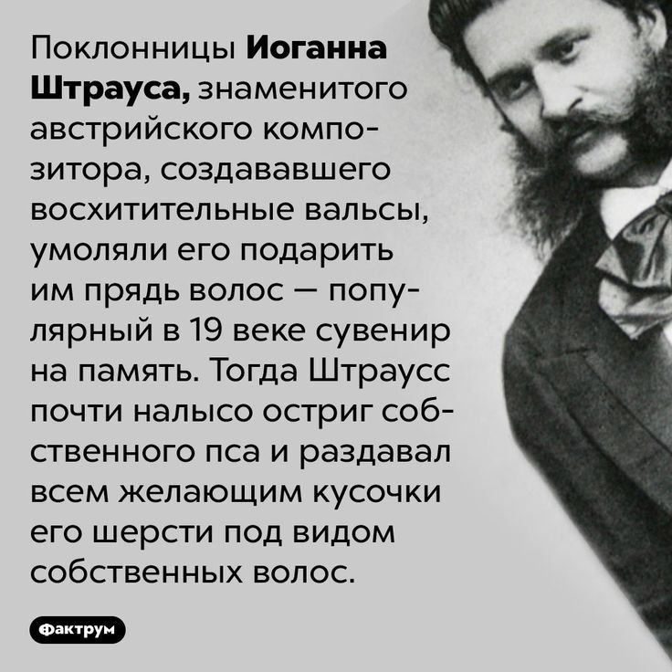 Поклонницы Иоганна Штрауса знаменитого австрийского компо зитора создававшего восхитительные вальсы умоляли его подарить им прядь волос попу лярный в 19 веке сувенир на память Тогда Штраусс почти налысо остриг соб ственного пса и раздавал всем желающим кусочки его шерсти под видом собственных волос
