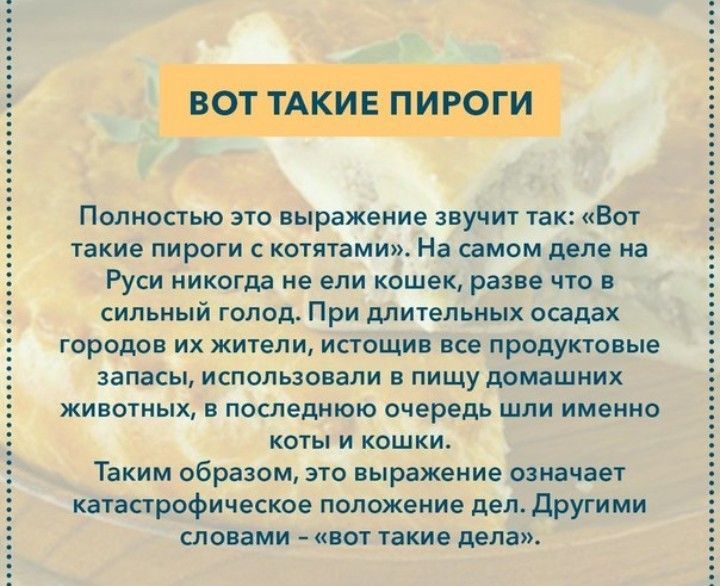 Полностью это выражение звучит так Вот такие пироги с котятами На самом деле на Руси никогда не ели кошек разве что в сильный голод При длительных осадах городов их жители истощив все продуктовые запасы использовали в пищу домашних животных в последнюю очередь шли именно коты и кошки Таким образом это выражение означает катастрофическое положение дел Другими словами вот такие дела