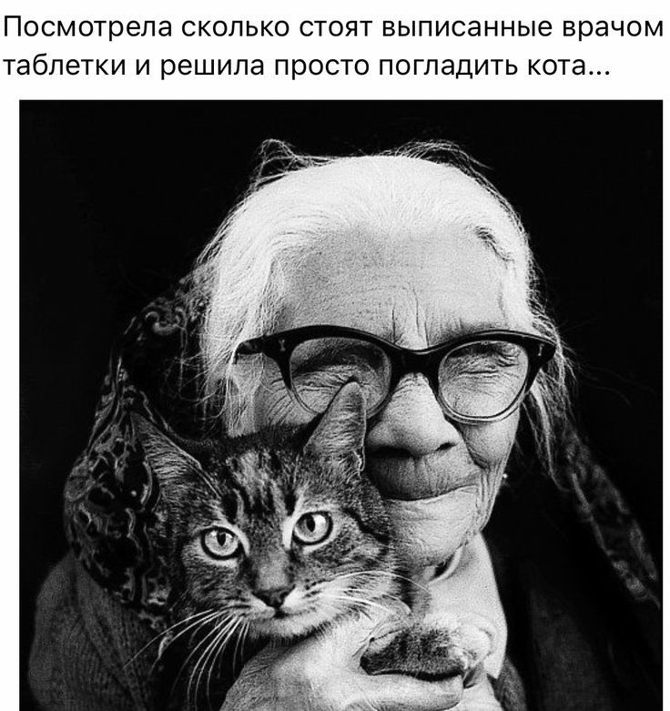 Посмотрела СКОЛЬКО СТОЯТ ВЫПИСдННЬіе врачом таблетки И решила ПРОСТО ПОГЛаДИТЬ кота