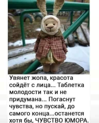 Увянет жопа красота сойдёт лица Таблетка молодости так и не придумана Погаснут чувства но пускай до самого концаостанется хотя бы ЧУВСТВО ЮМОРА