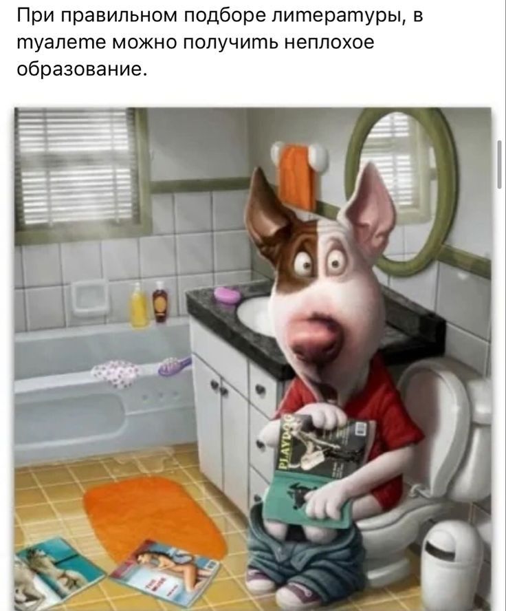 При правильном подборе литературы в туалете можно получить неплохое образование