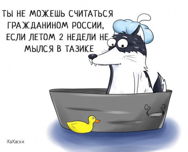 ТЫ НЕ МОЖЕШЬ СЧИТАТЬСЯ ГРАЖДАНИНОМ РОССИИ ЕСЛИ ЛЕТОМ 2 НЕДЕЛИ Н МЫЛСЯ В ТАЗИКЕ ХаХаск и