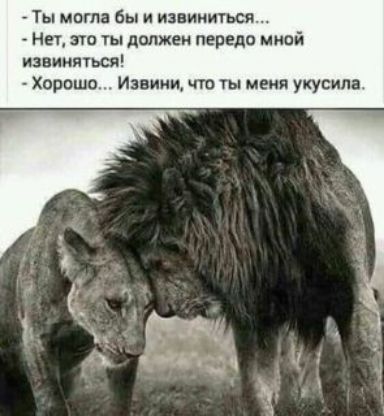 Ты могла бы и извиниться Нет это гы должен передо мной извиняться Хорошо Извини но ты меия укусила