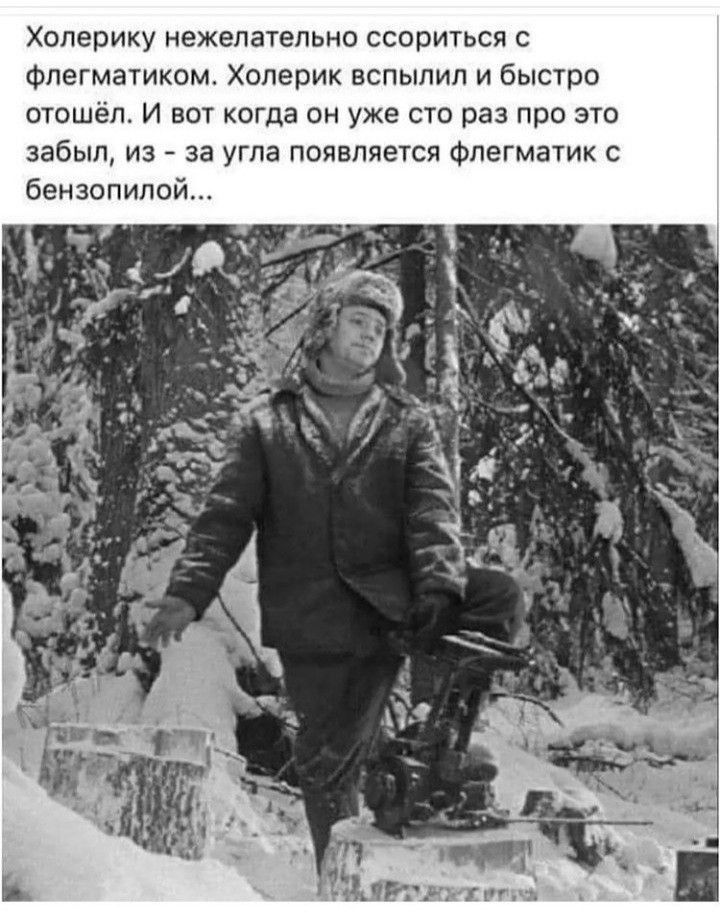 Хоперику нежелательно ссориться с Флегматиком Холерик вспыпип и быстро отошёл И вот когда он уже сто раз про это забыл из за угла появляется Флегматик с бензопилой