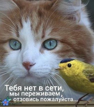 і отзовись пажа