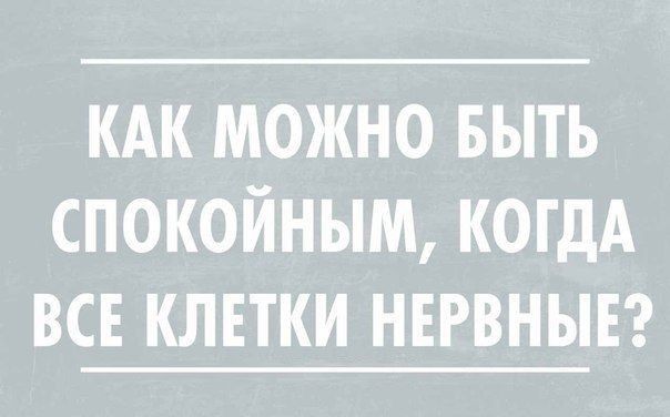 кдк можно выть спокойным когдА все клвтки нервнынг