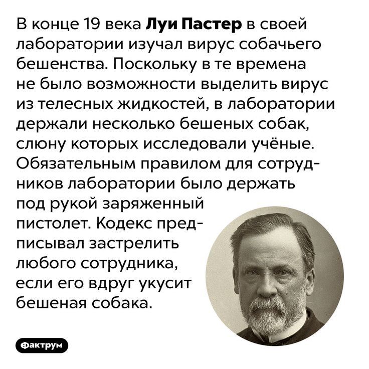 В конце 19 века Луи Пастер в своей лаборатории изучал вирус собачьего бешенства Поскольку в те времена не было возможности выделить вирус из телесных жидкостей в лаборатории держали несколько бешеных собак слюну которых исследовали учёные Обязательным правилом для сотруд ников лаборатории было держать под рукой заряженный пистолет Кодекс пред писывал застрелить любого сотрудника если его вдруг уку