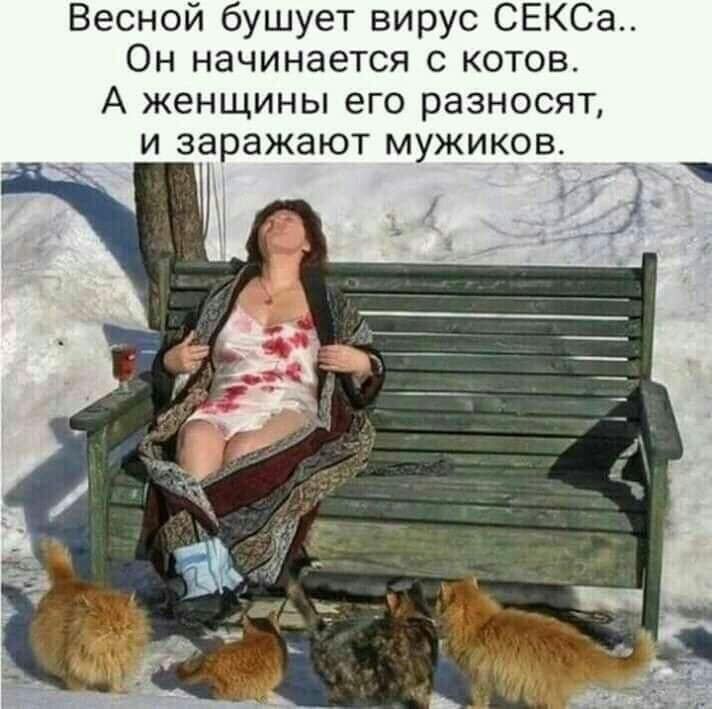 Весной бушует вирус СЕКСа Он начинается с котов А женщины его разносят и заражают мужиков_